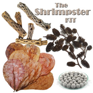 Shrimp Kit w/Mineral Balls, Cholla Wood,<br> Almond Leaves, and Alder Cones